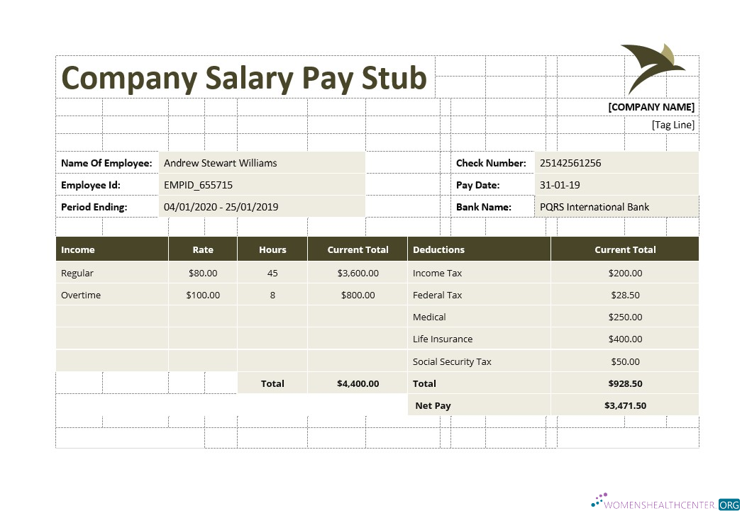 Download Company Salary Pay Stub Template Photoshop template